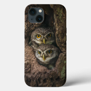 Forests Two Owls Looking iPhone 13 Case