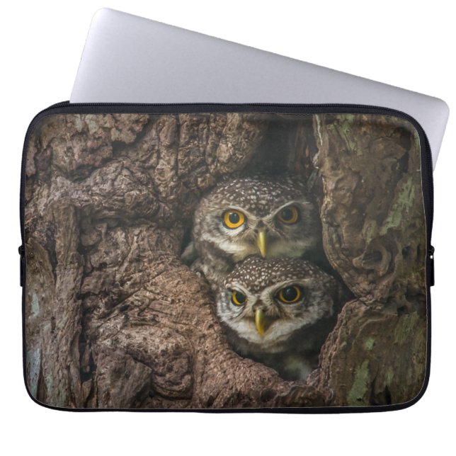 Forests | Two Owls Looking Laptop Sleeve (Front)