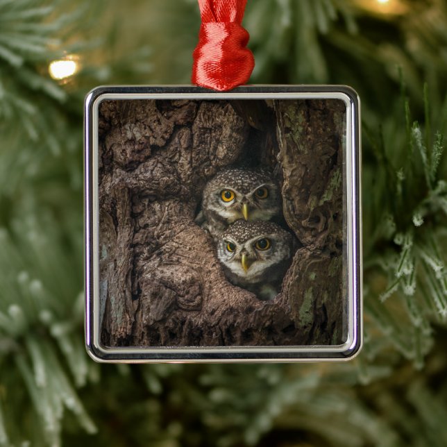 Forests | Two Owls Looking Metal Tree Decoration (Tree)