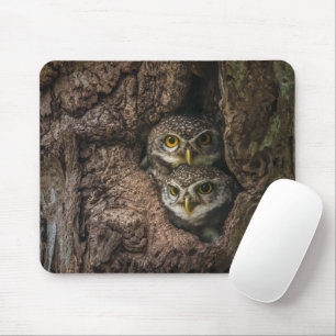 Forests Two Owls Looking Mouse Mat