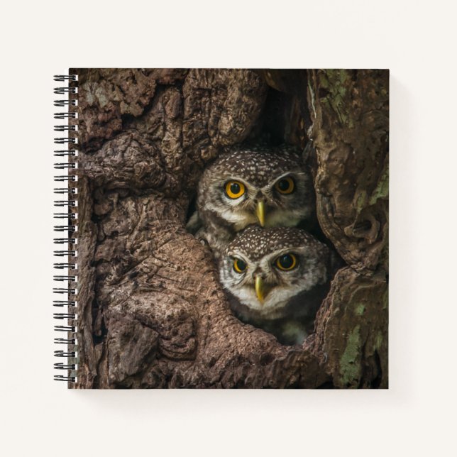 Forests | Two Owls Looking Notebook (Front)