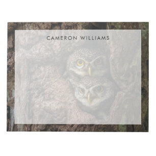Forests Two Owls Looking Notepad