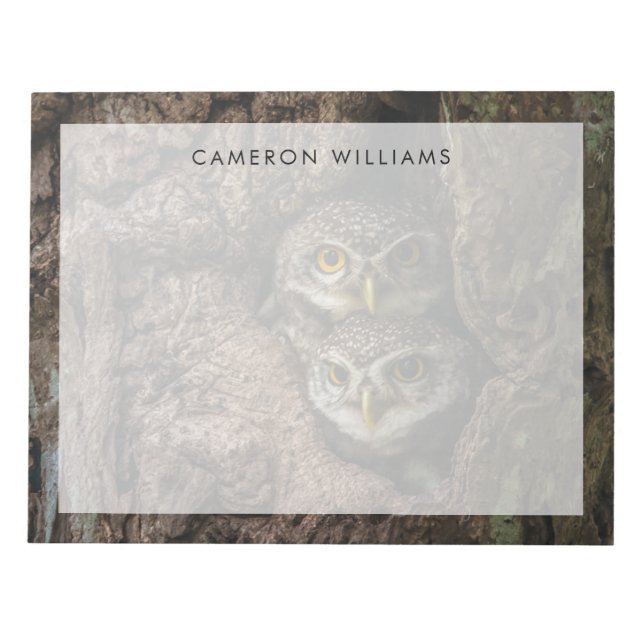 Forests | Two Owls Looking Notepad (Front)