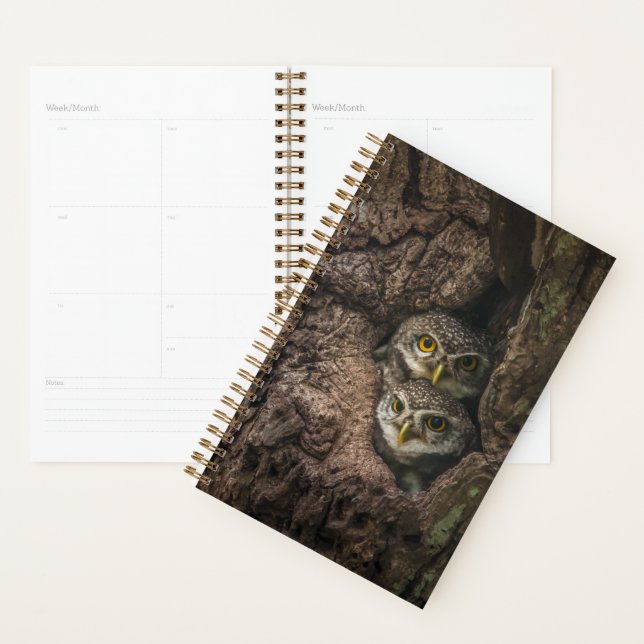 Forests | Two Owls Looking Planner (Display)