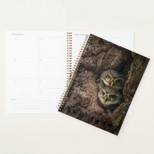 Forests Two Owls Looking Planner