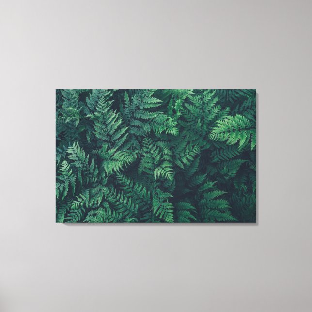 Forests | Woodland Ferns Canvas Print (Front)