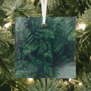 Forests Woodland Ferns Glass Tree Decoration