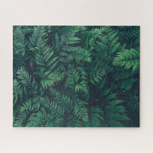 Forests Woodland Ferns Jigsaw Puzzle