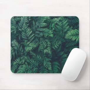 Forests   Woodland Ferns Mouse Mat