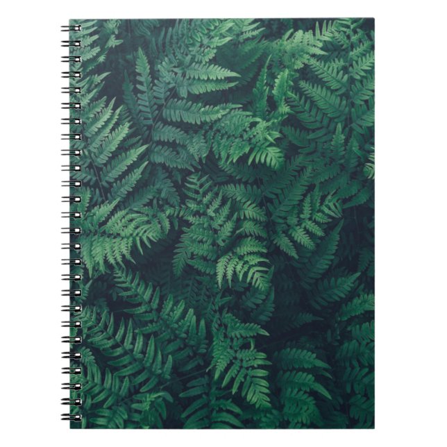 Forests | Woodland Ferns Notebook (Front)