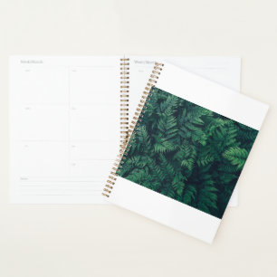 Forests Woodland Ferns Planner