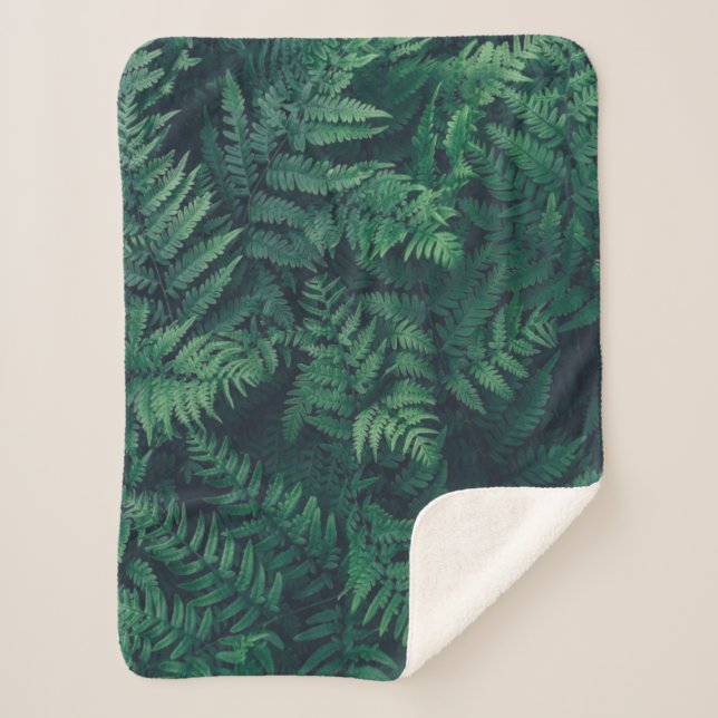 Forests | Woodland Ferns Sherpa Blanket (Front)