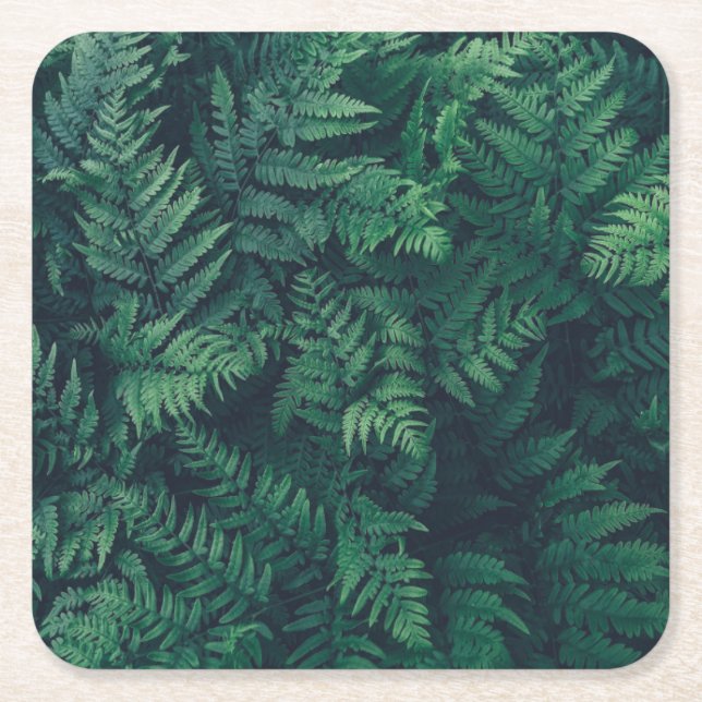 Forests | Woodland Ferns Square Paper Coaster (Front)