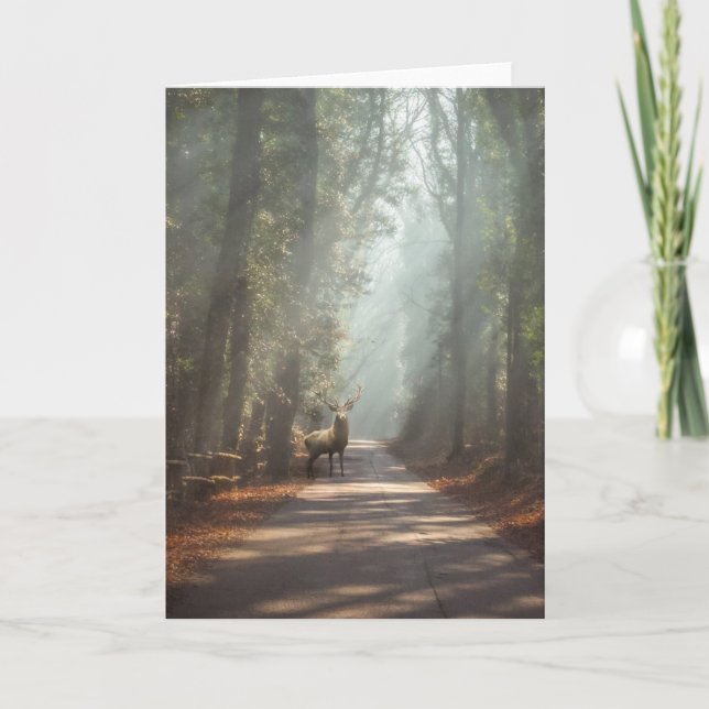 Forests | Woodland Stag Card (Front)