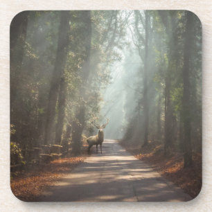 Forests Woodland Stag Coaster