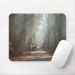 Forests   Woodland Stag Mouse Mat