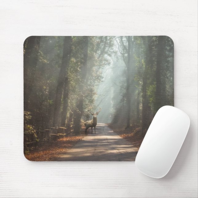 Forests | Woodland Stag Mouse Mat (With Mouse)