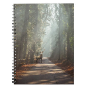 Forests   Woodland Stag Notebook