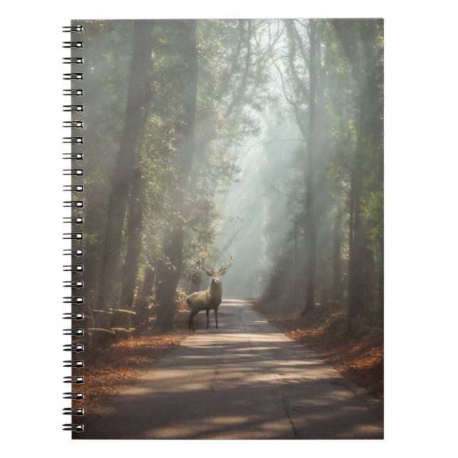 Forests | Woodland Stag Notebook (Front)
