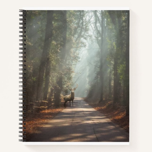 Forests | Woodland Stag Notebook (Front)