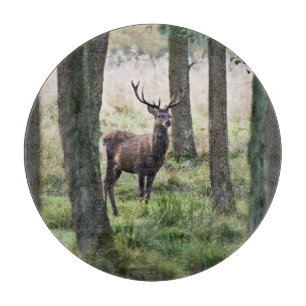 Forests Woodlands & Red Deer Cutting Board