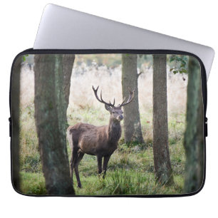 Forests   Woodlands & Red Deer Laptop Sleeve