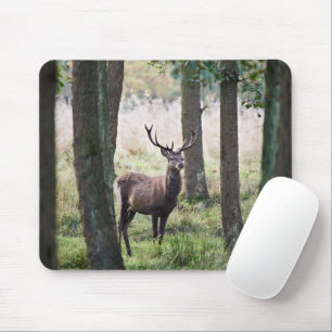 Forests Woodlands & Red Deer Mouse Mat