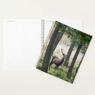 Forests Woodlands & Red Deer Planner