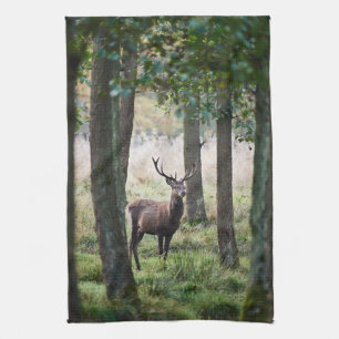 Forests Woodlands & Red Deer Tea Towel