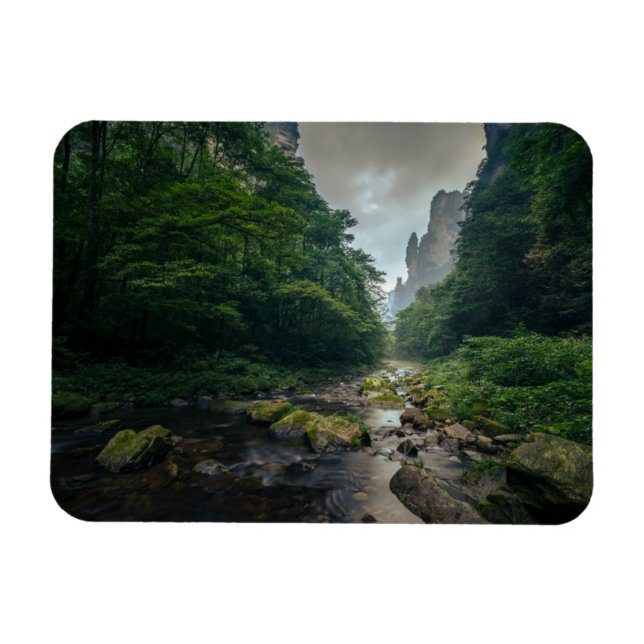 Forests | Zhangjiajie National Forest Park Magnet (Horizontal)