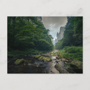 Forests   Zhangjiajie National Forest Park Postcard