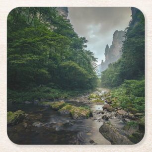 Forests Zhangjiajie National Forest Park Square Paper Coaster
