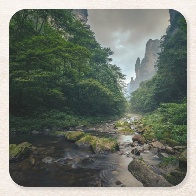 Forests | Zhangjiajie National Forest Park Square Paper Coaster (Front)