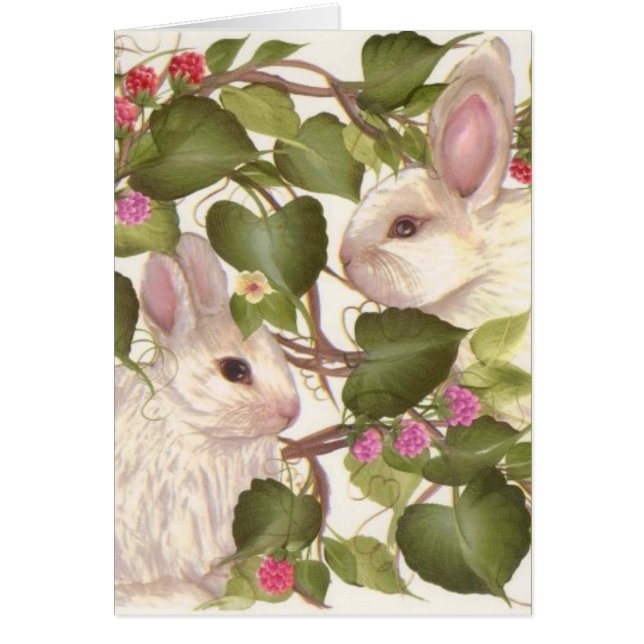 Forever Bunnies (Front)