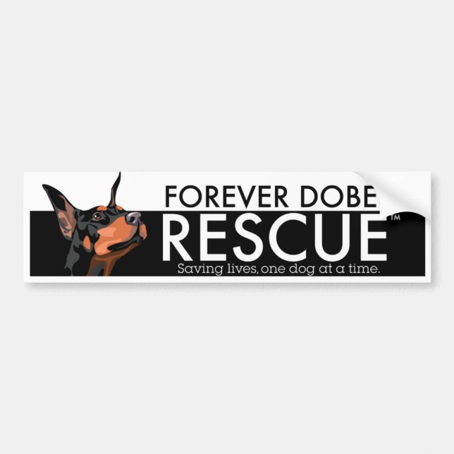 Forever Dobes Bumper Stickers (Front)