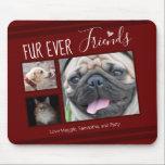 Forever Friends Pet Photo Collage Mouse Mat<br><div class="desc">3 photo pet collage mouse pad template is easy to use. All text can easily be changed. Great for the pet lover in your life.</div>