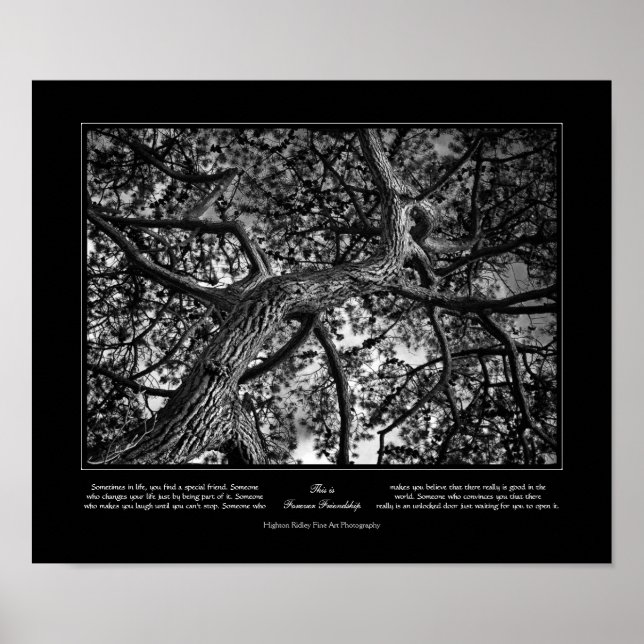 Forever Friendship, Canadian Pine, Fine Art Poster (Front)