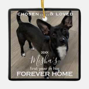Forever Home Pet Photo  Ceramic Ornament