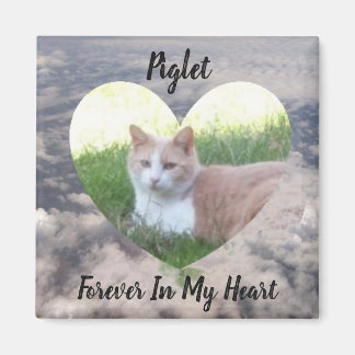 Forever In My Heart Pet Memorial Magnet