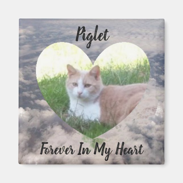 Forever In My Heart Pet Memorial Magnet (Front)