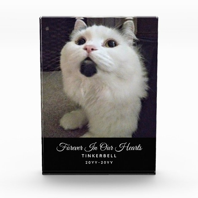 Forever In Our Hearts Cat Memorial Pet Photo Name (Front)