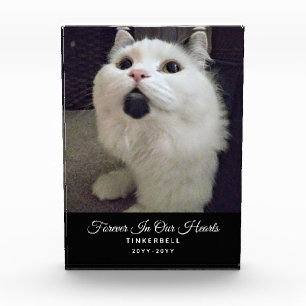 Forever In Our Hearts Cat Memorial Pet Photo Name Block