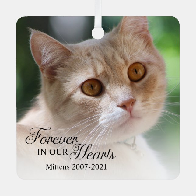 Forever In Our Hearts Cat Photo Metal Tree Decoration (Front)