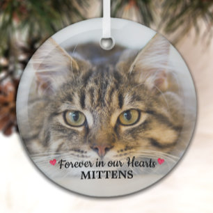 Forever In Our Hearts Cat Photo Pet Memorial Glass Tree Decoration