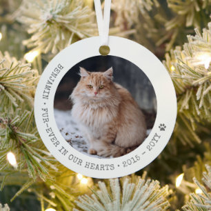 Forever in Our Hearts Cat Photo Pet Memorial Metal Tree Decoration