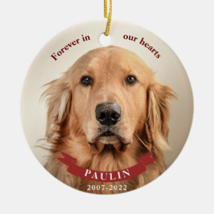 Forever in Our Hearts - Custom Pet Photo Ceramic Tree Decoration