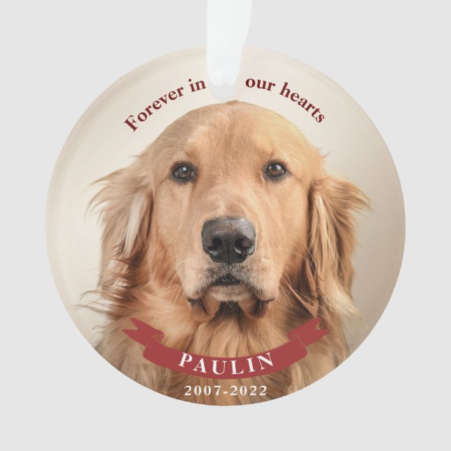 Forever in Our Hearts - Custom Pet Photo Ornament (Front)