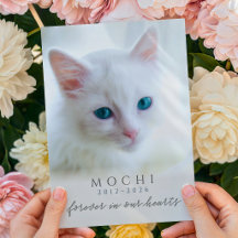 Forever In Our Hearts Pet Loss Cat Memorial