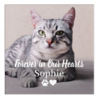 Forever in Our Hearts Pet Memorial Cat
