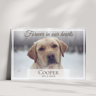 Forever in our hearts Pet memorial custom Thank You Card